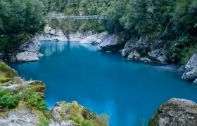 Explore Hokitika Gorge and Tree Top Walkway