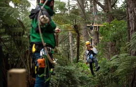 Adventurous Zipline Tour in Coromandel 