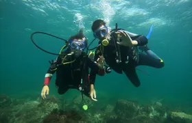 "Baptism of the Sea: Diving on the Island of Elba"