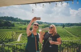 From Venice: Prosecco Wine Region Tour with 2 Tastings