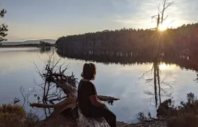 Private Guided Discovery Walk in the Cairngorms