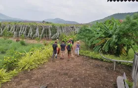 Kampot Tour Pepper Plantation, Salt Field, Cave, Secret Lake
