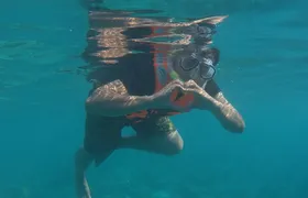 3 Point Snorkeling Safari