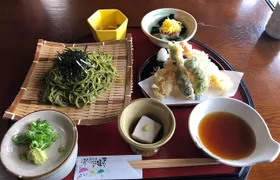 Kyoto Matcha Green Tea Tour