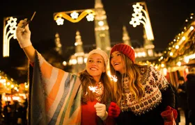 Private Tour - Tampere Enchanted Christmas Walk