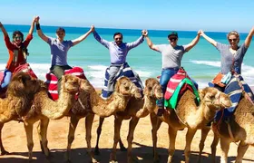 Private 4-Hour Tangier Tour