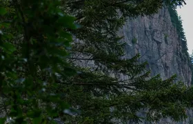 Sumela Monastery and Ayavarvara Church small group tour