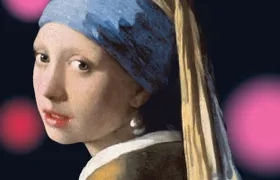 Mauritshuis The Hague entrance ticket