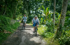 Morning Best Bali Cycling Kintamani Tour