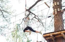Flagstaff Extreme Adventure Course-Adult Course