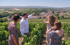 Champagne Small-Group Tour with Tastings and Lunch from Epernay