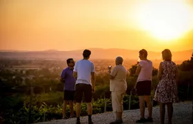 Enjoy and Taste the Flavors of Wine in an Open-air Venue