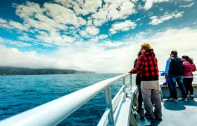 Wineglass Bay Cruise with lunch and Vista Lounge access