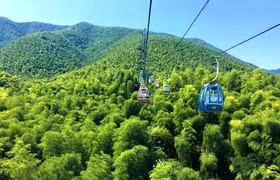 Yixing Bamboo Forest Private Day Tour from Wuxi with Lunch