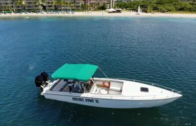 Private Full Day Charter: St Lucia Boat Tour to Soufriere