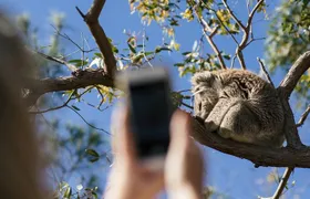 Exceptional Port Lincoln, Seafood and Wildlife Tour