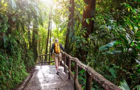 Guided Khao Yai National Park tour from Bangkok