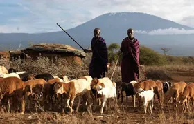 Amboseli Day Tour from Nairobi