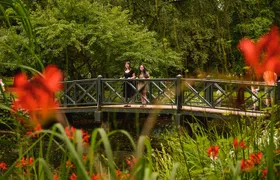 Hire Photographer, Professional Photo Shoot - Gothenburg