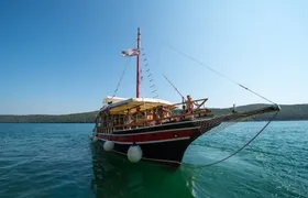 2-hour dolphins and panorama sailing experience from Poreč