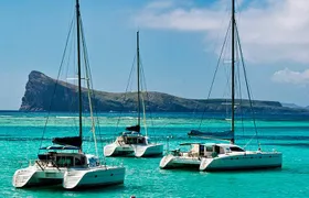 Discover a Full Day Catamaran Cruise 3 Northern Island Adventure