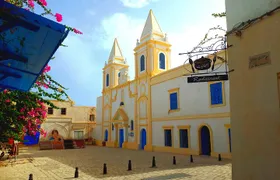 Guided Tour of Djerba island, Museums, Crocodile park & lunch