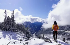 Best of Mount Rainier National Park from Seattle: All-Inclusive Small-Group Tour