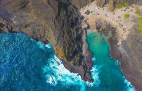 Full-day circle-Oahu island bus tour