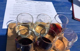 Seneca Lake South Wine Tastings Tour