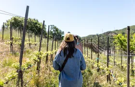 Malibu: Guided Vineyard Hike with Photo Stops and Wine
