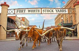 Fort Worth Highlights Tour
