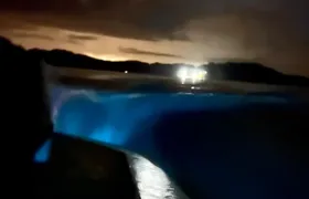 Sunset Bioluminescence Tour by Boat