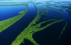 8-Hour Amazonas Jungle Treck & Anavilhanas Archipelago
