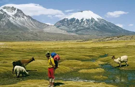 4-Days Unique Experience at the Chilean High Plateau