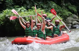 Full-Day Tour: White Water Rafting and Highlight of Ubud with All-inclusive