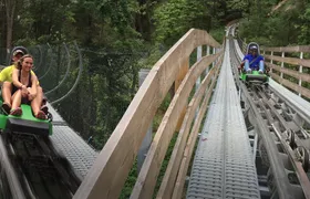 Moonshine Mountain Coaster Ride