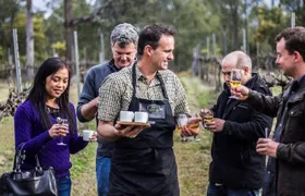 Chef-Led Hunter Valley Gourmet Food and Wine Day Tour from Sydney