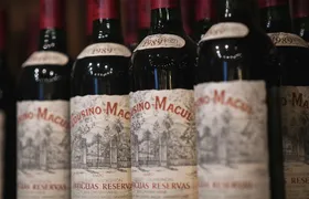 "Tour Tradicional" Viña Cousiño Macul Oficial español