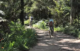 Bicycle rental in Horto Florestal - Campos do Jordão