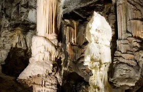 Postojna Cave & Photostop Predjama castle - Group Tour from Koper