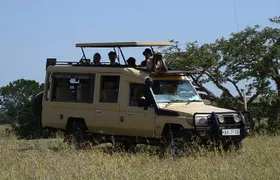 Nairobi Park Wildlife Safari