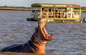 ST Lucia ISimangaliso Boat Safari and Emdoneni Wildcat Day Tour