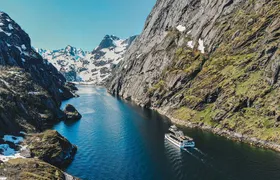 Lofoten Island: Silent Trollfjord Cruise from Svolvær