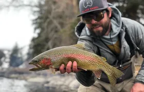 Half Day Walk and Wade Fly Fishing Trip