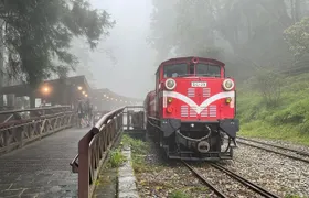 Alishan Day Tour from Chiayi (Incl. Park Entrance)