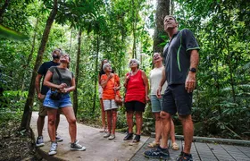 Daintree, Cape Tribulation & River Cruise from Port Douglas