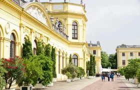 Kassel 2-hour city walking tour with a local