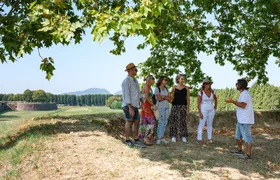 Flavours of Lucca, Art, History, Food for Small Groups or Private