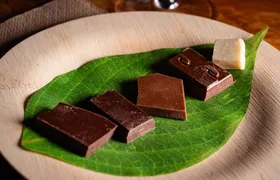 Craft Chocolate Tasting