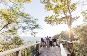 Sunshine Coast Culinary Experience, Discover Montville and Maleny